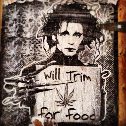 DatKidDyl's profile picture. #AWESOME