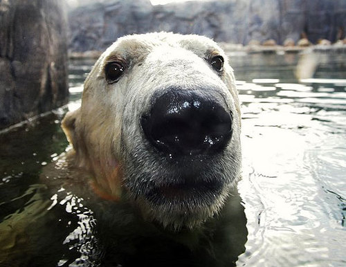 mariana41532479's profile picture. 