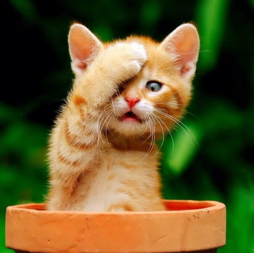 IUlland's profile picture. 