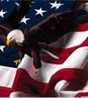 Altologic's profile picture. For limited government and freedom.  Reject lies and distortion from the Leftist Media. #AmericaFirst 🇺🇲