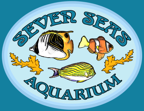 sevenseas077's profile picture. 