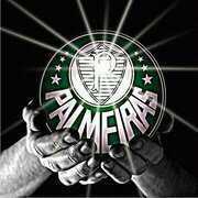 Palmeiras Minha Vida é Você. . .