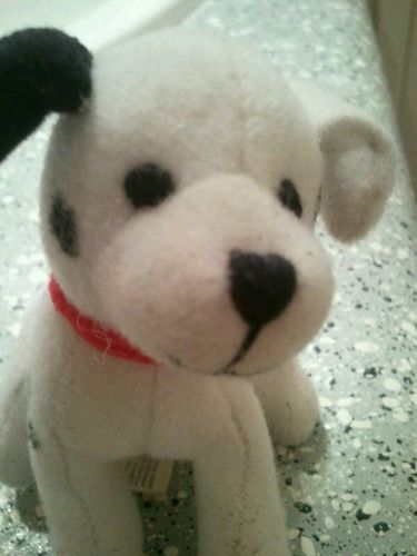 مصطفي عماد Profile