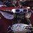 Grem1980's profile image