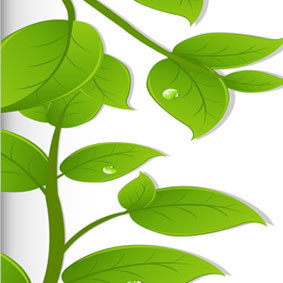 ** Herbalife * Green-Shop * Vitaminen * Mineralen * Gezonde Voeding * Afvallen * Aankomen * Lijnen * Obesitas  Sportvoeding * Dieet * Meer Energie *