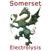 SomersetElectrolysis (@SomersetElec) Twitter profile photo