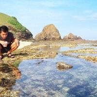 Asisi Andri (@andri_asisi) 's Twitter Profile