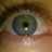 Berracomtu's profile image