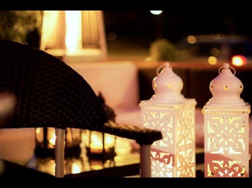 SEQUOIAWORLD's profile picture. 