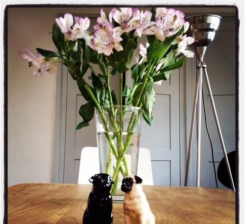 Catchrj's profile picture. 