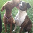 jesse volk - @Oilers2 - Twitter