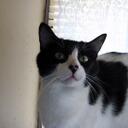 Hazel Neely - @scarrycat - Twitter