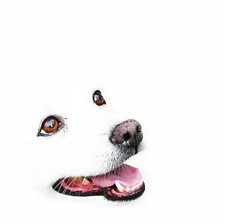 zane_kaibe's profile picture. 