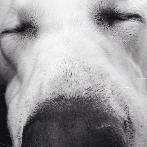 blmb98's profile picture. 