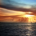 RIUnfiltered's profile picture. realissuesUnfiltered is a blog that discusses current events, social, and everyday issues. No holds barred. 

Please check it out: https://t.co/ShB4WSgN0S