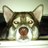 Reewee74's profile image