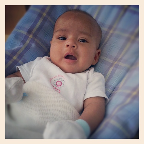 Caca's Olshop