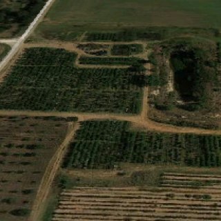 Snidertrees's profile picture. 