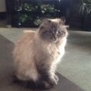 lynne rainey - @holladayhoney - Twitter