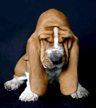 MoustakasGianni's profile picture. 