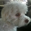 Donna Spradling - @Donnasp56 - Twitter