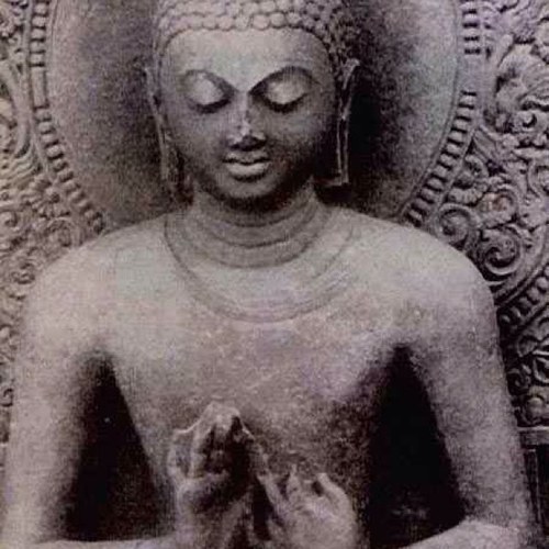 Amusitan's profile picture. 