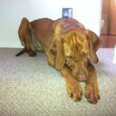 Amy Crooks - @amymariasurtees - Twitter