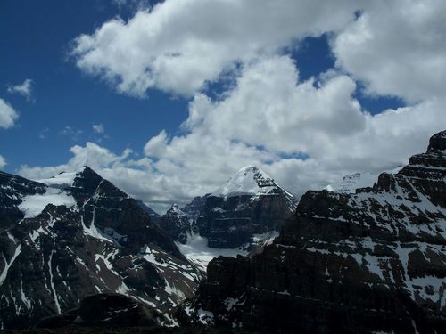 wmv001's profile picture. 