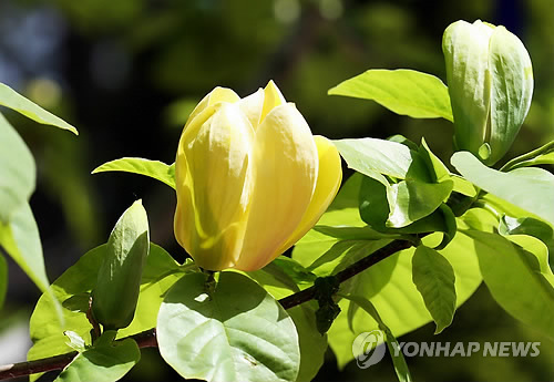 정직한 사람이 손해 안보는 사회!!
