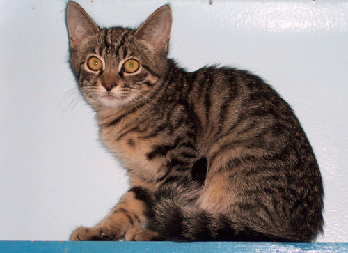 Barneenee's profile picture. 