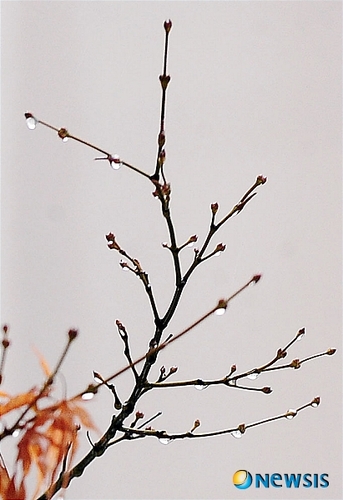 goodday21608032's profile picture. 항상 상쾌한 아침을 맞이하고 싶당~~