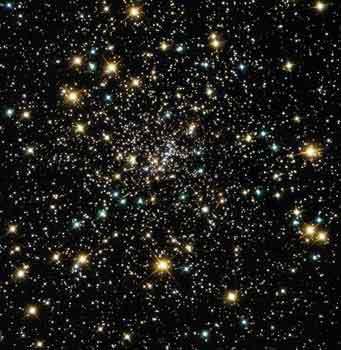 Javiiaz's profile picture. 