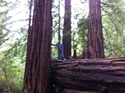 RandulfGrotle's profile picture. 