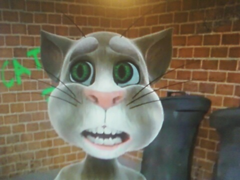 hi im tom.