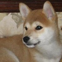 isab_df (@isab_df) 's Twitter Profile