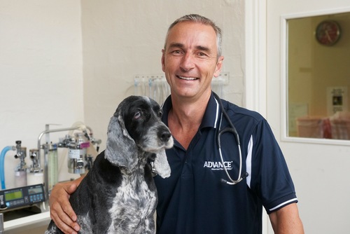 DoctorArk's profile picture. Pet Advocate and Veterinarian