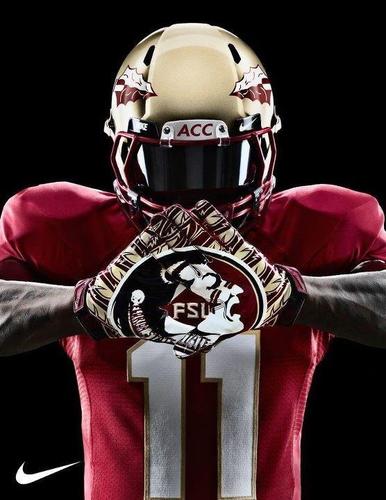 Nole for Life!! Seminole Football and Baseball Fanatic!! Love all Nole teams and all things FSU! GO NOLES!!