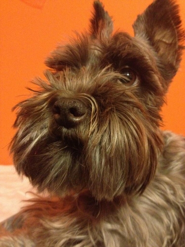 Divermb1's profile picture. 