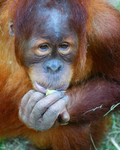 cheri_lands's profile picture. 