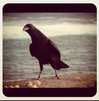 gsusse's profile picture. 1 hora - canarias