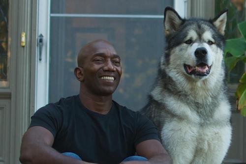 HalfmoonIsland's profile picture. 