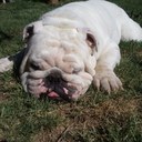 John Levi Estes IV - @JohnEstes4 - Twitter