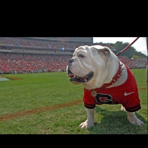 dpevans2424's profile picture. 