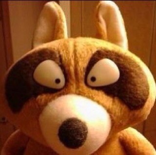 _wildlife's profile picture. 반오십이한세월생태계를지켜온야생동물너구리가어느날등산객이놓고간차려진맛폰위에왼손은거들뿐.그렇게인간들과너구리의소통은시작된다.