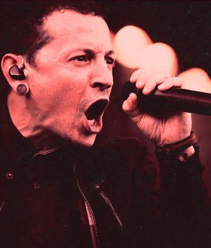 hEY! IM LP UNDERGROUND! I LOVE LINKIN PARK! FOLLOW ME! AND I FOLLBACK U!