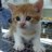 sapporo_billy's profile image