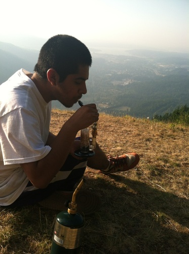 so if you high click that follow button.


instagram @hashbeaner425