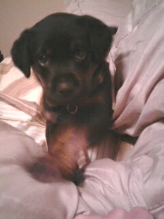 Neujurz's profile picture. 