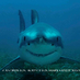 Rodney Fox (@rodneyfoxshark) Twitter profile photo Rodney Fox (@rodneyfoxshark) Twitter profile photo