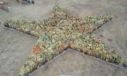 bertavill12's profile picture. 